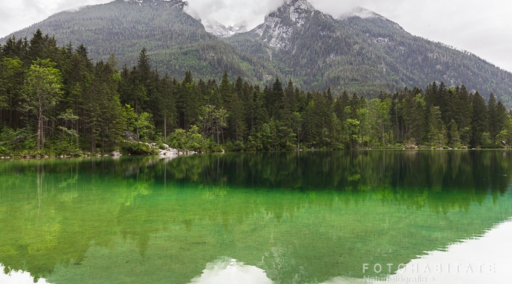 Berge und Bäume spiegeln sich im grün-weißen Wasser